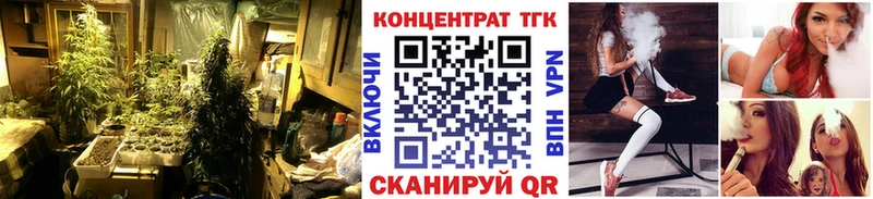 Дистиллят ТГК Wax  Купить закладки  Краснообск 