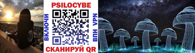 Галлюциногенные грибы Psilocybe  Купить закладки  Краснообск